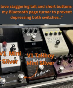 A guitar pedal board featuring a V1 Mini Silver and a V1 Tallboy mini Silver