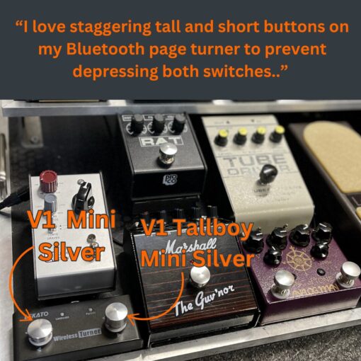 A guitar pedal board featuring a V1 Mini Silver and a V1 Tallboy mini Silver